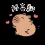 卡皮巴拉★超E小水豚