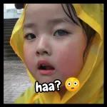 ini bocah pasti goblok