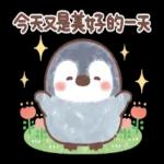🦭暖心小棉襖🐧 