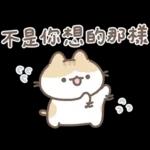 軟爛貓咪的情勒時間 