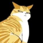                              Kocheng OrensTOP STICKERS