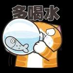 吃瓜