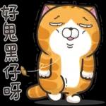 萬聖節快樂～Happy Halloween🎃🎃