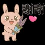可愛粉紅兔⭐日常實用貼