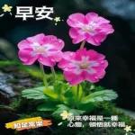 祝全家平安健康