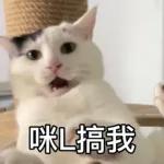 樂狗有話兒~~知我咩料啦