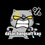 Coba lihat kebodohannya, Alesandro