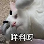 樂狗有話兒~~知我咩料啦