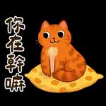 躲貓貓3-貓咪小插畫