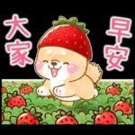 最近好吗～好久没有联系啦
