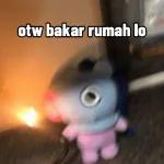 bacot