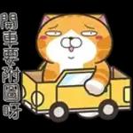lan-lan-cat-17