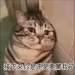 可爱猫仔贴纸-要唔可以抱下 