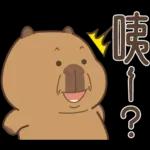 私貨動物園 咔屁大澡堂