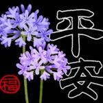 书法✨✨✨✨✨✨✨💖💖