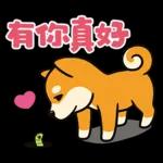 可愛又聰明的柴犬