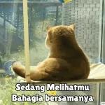 SINI AYANG