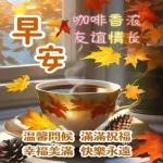 早安 運動 身體好