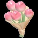 LES COPACULTOTUH ORANG TOLOL