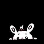 🐰紙四一隻兔子🐰