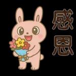 可愛粉紅兔⭐日常實用貼
