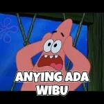 CO ANYING ADA WIBU
