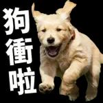 0 一起去旅行?