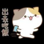 可愛貓貓❤貼心日常❤7