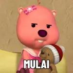 berang-berang kecil   loopy