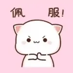 企開啦屌你老母