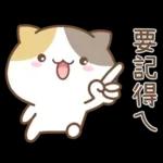 可愛貓貓❤貼心日常❤7
