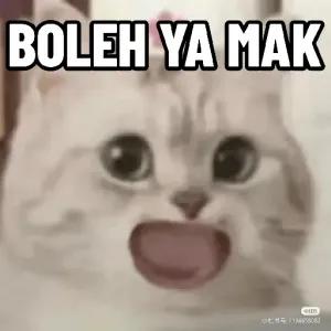 qmrjudf