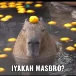 tolol
