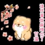 最近好吗～好久没有联系啦