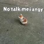 No talk mei angy