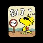 一隻黃色懶貓 x Snoopy