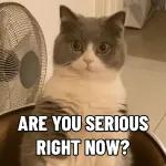 lagi-lagi "me & who"