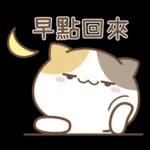 可愛貓貓❤貼心日常❤7