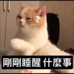 可爱猫仔贴纸-要唔可以抱下 