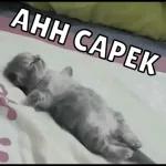 PASTIKAN HARI INI Semua SUDAH ngopi