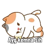                              animasi kucing gemoyTOP STICKERS