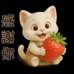 可愛白貓⭐ 日常實用