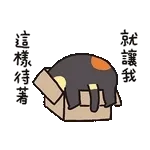 日常动图表情      10