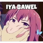                             Anime BucinTOP STICKERS