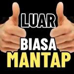 INFO INFO INFO INFO INFO INFO INFO INFO