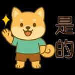 可愛柴犬⭐日常實用貼