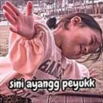 maap yang