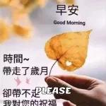11.22早晨