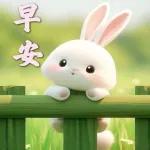 早安我的朋友～～～～