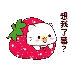 🎉端午節D-1🎉	要放假啦😝☘️
